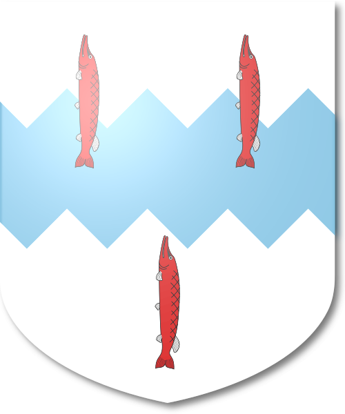 Shield image