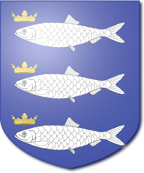 Shield image