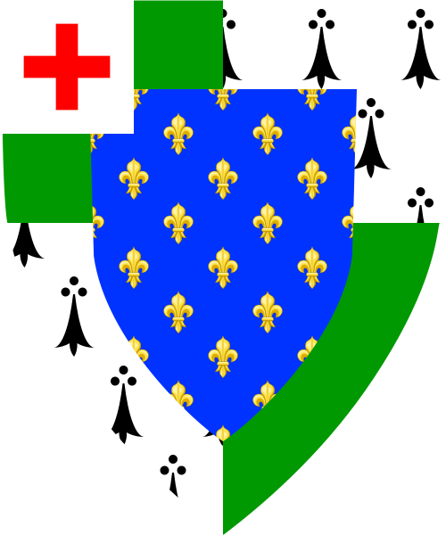 Shield image
