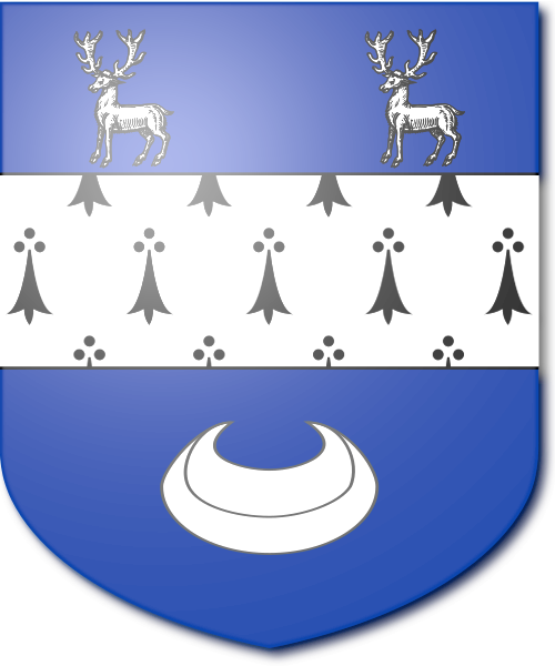 Shield image