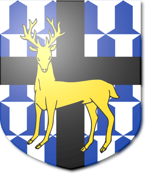 Shield image