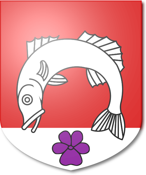Shield image