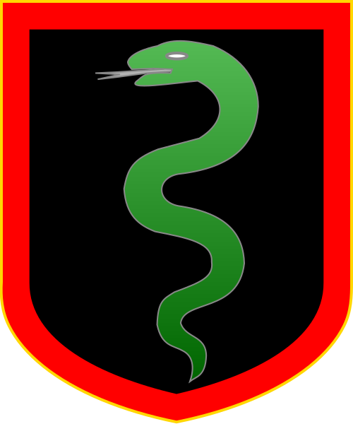 Shield image