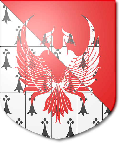 Shield image