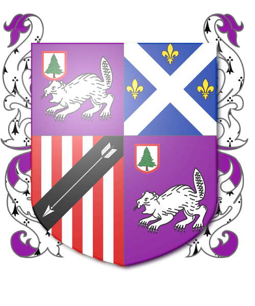 Shield image