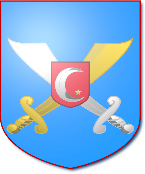 Shield image