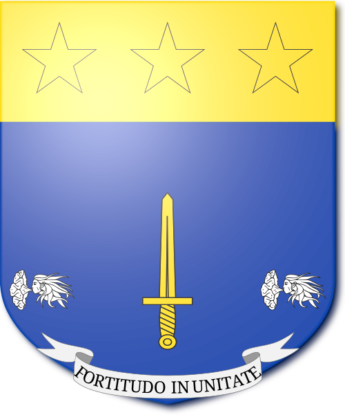 Shield image