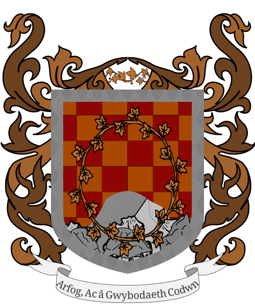 Shield image