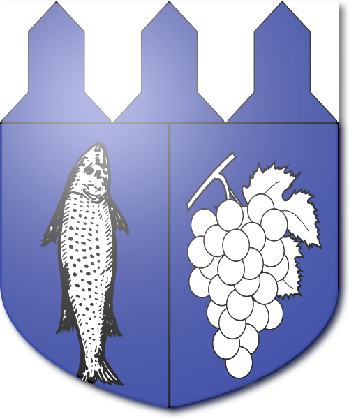 Shield image