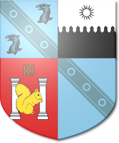 Shield image
