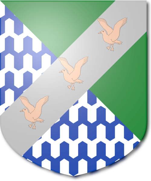 Shield image