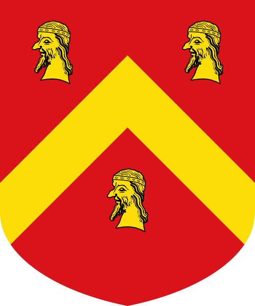 Shield image