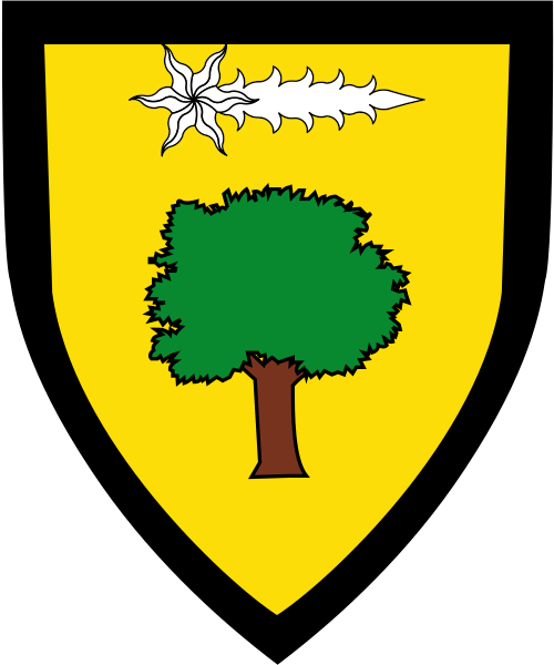 Shield image