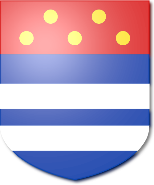 Shield image