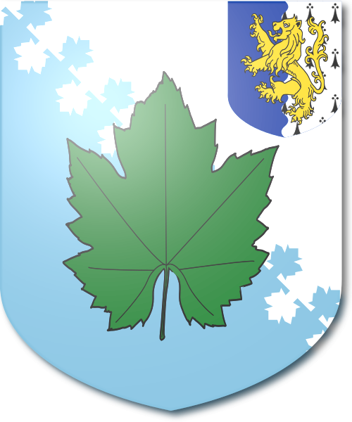 Shield image