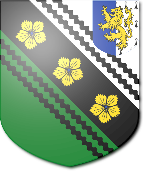Shield image