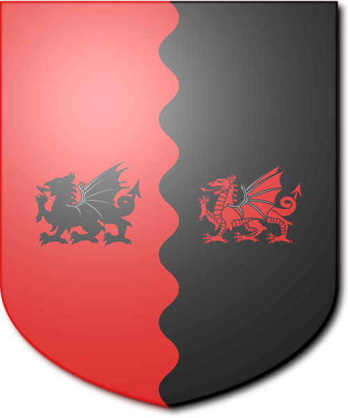 Shield image