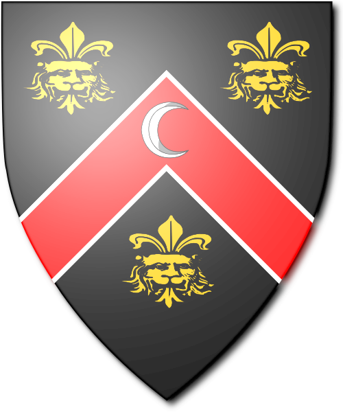 Shield image