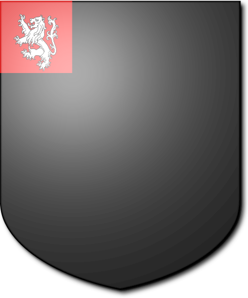 Shield image