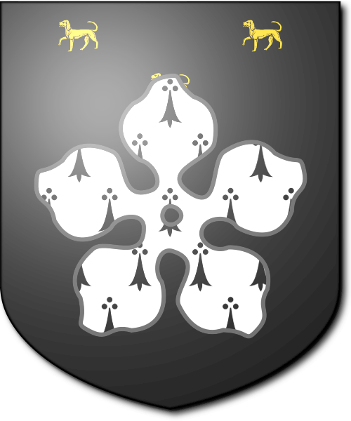 Shield image