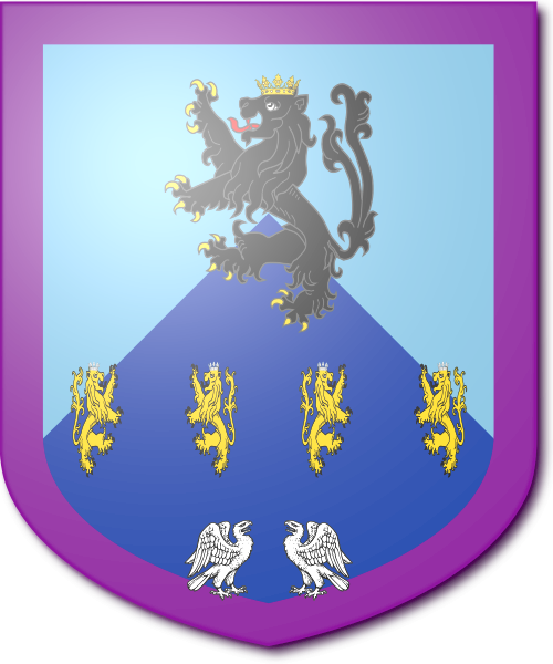 Shield image
