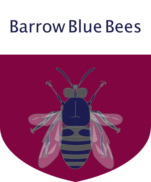 Shield image