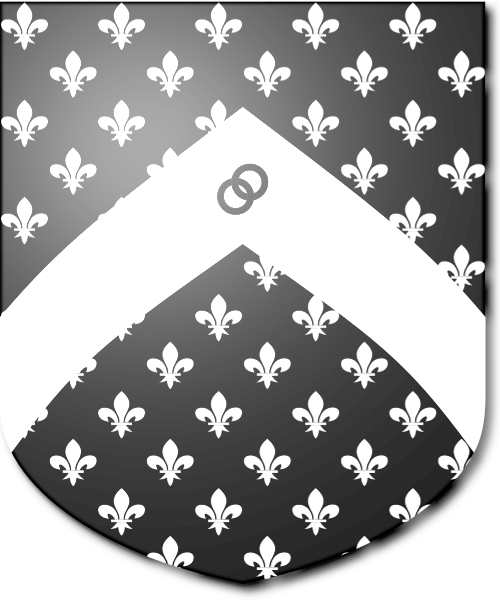 Shield image