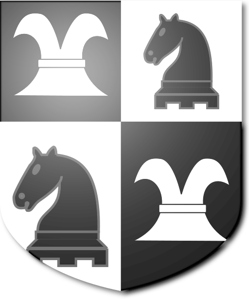 Shield image