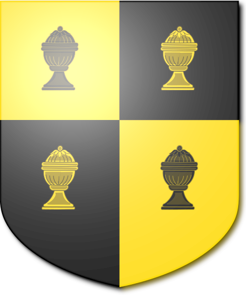 Shield image