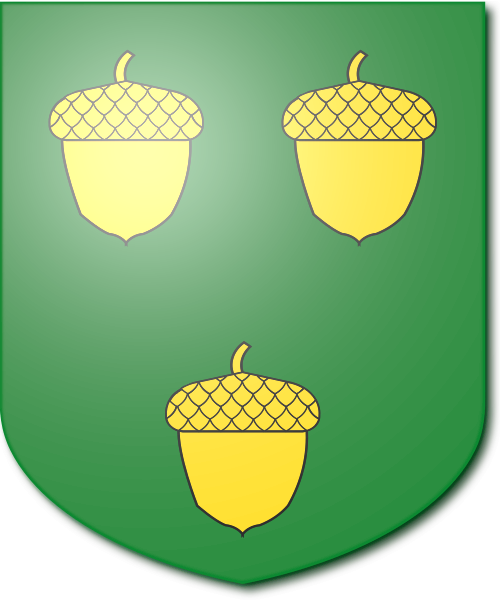 Shield image