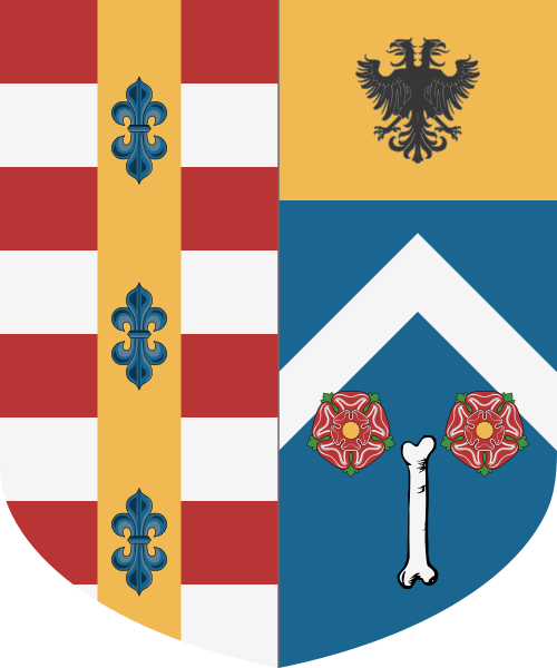 Shield image