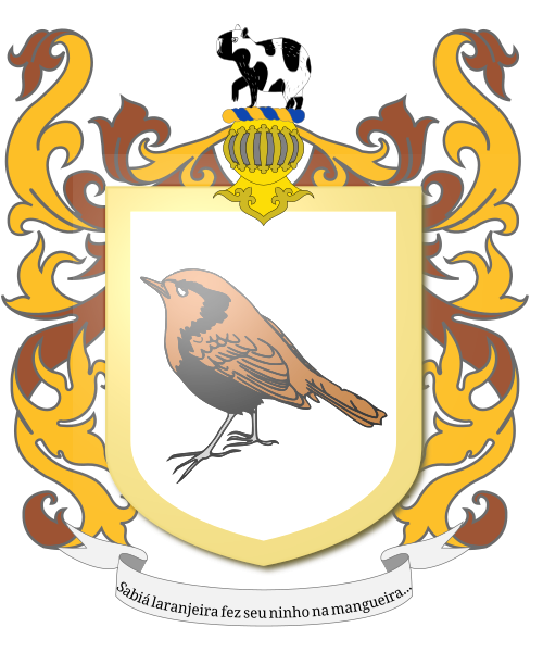 Shield image
