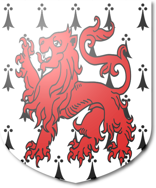 Shield image
