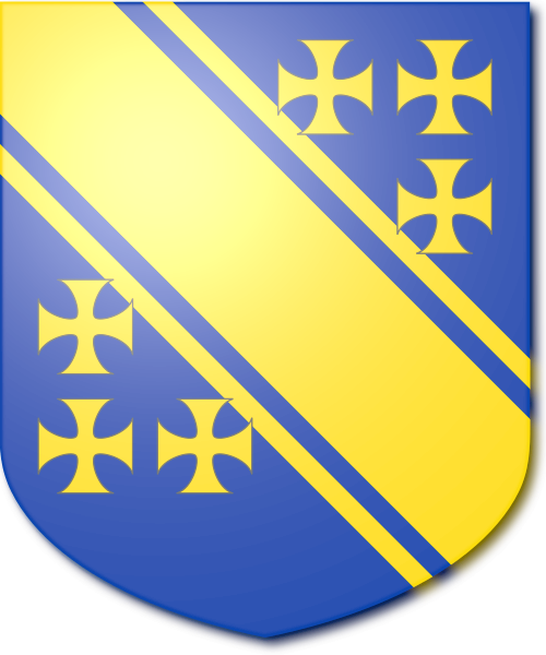 Shield image