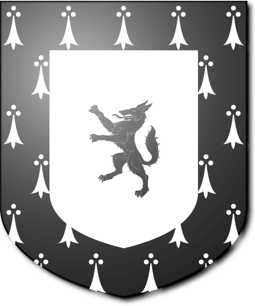 Shield image