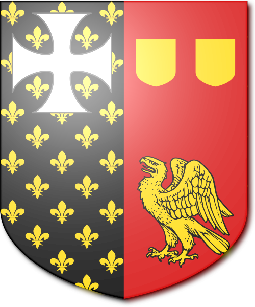 Shield image