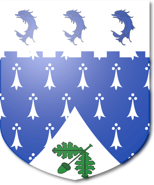 Shield image