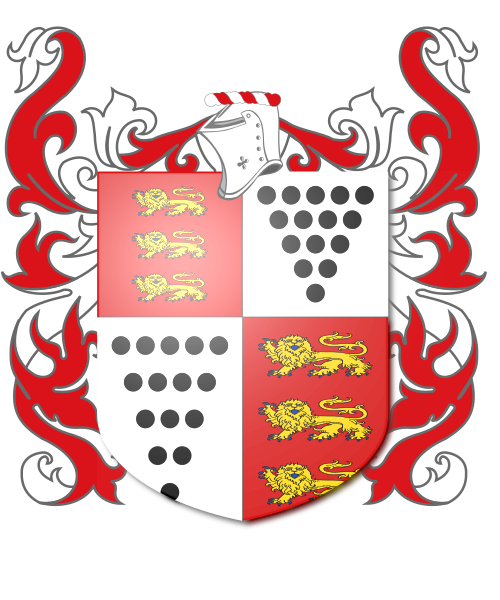 Shield image