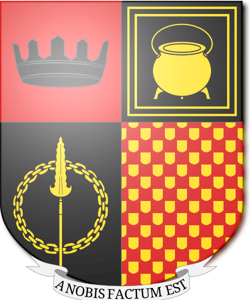 Shield image