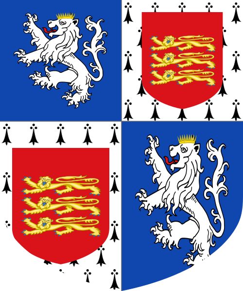 Shield image