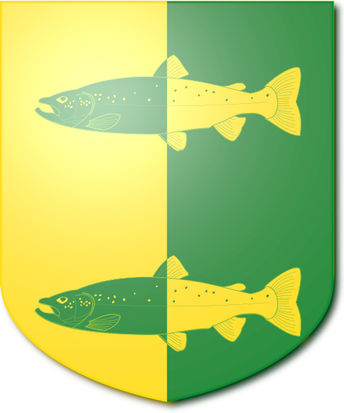 Shield image