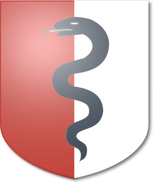 Shield image