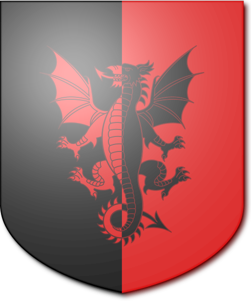 Shield image