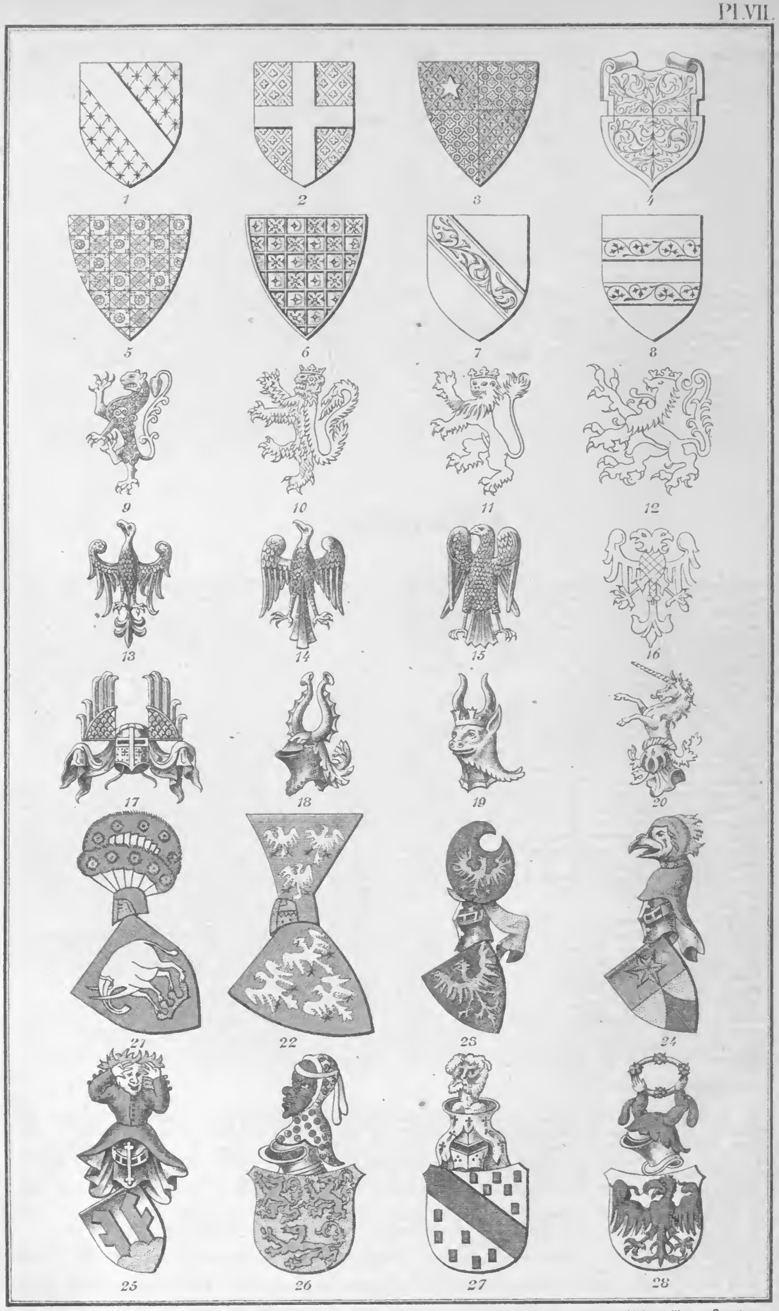 Plate VII